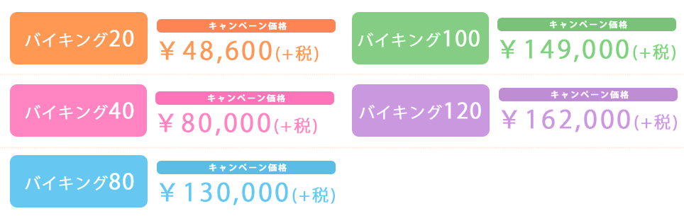バイキングコース