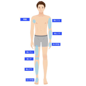 ライト脱毛6回部位一覧